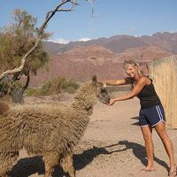 Juliane Bader's Photo