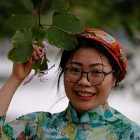 Ngoc Dao Bich's Photo
