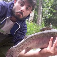 Gianluca Negro's Photo