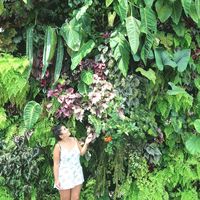 LaOra Saforcada's Photo