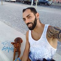 Kevin Rodrigues的照片