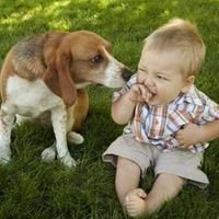 Fotos von Tiểu Đào