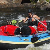 Le foto di Tom Carvajal