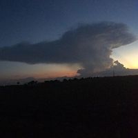 Robert Price's Photo