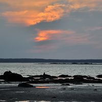 Le foto di Louise Lafargue