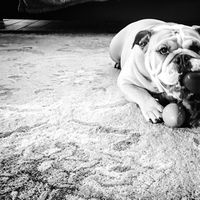 Carlos Rodriguez's Photo