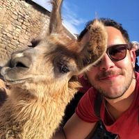 Carlos Eduardo Valinoti的照片