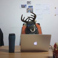 Fotos de Emanuele Rangan