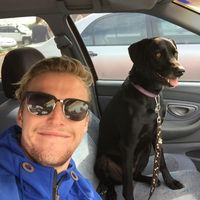 Oscar Ignetik的照片