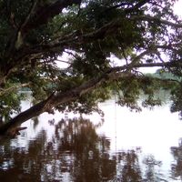 Marie Delahaye's Photo