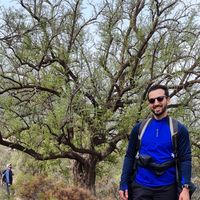 Yassine Ghaybe的照片