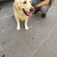 LUCA MOSCATO的照片