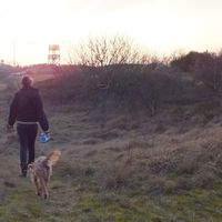 Le foto di Sanne Berkhout