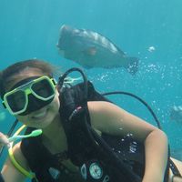 Ping   Ping的照片