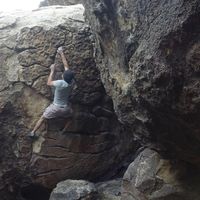 Hector Guzman的照片