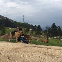 Simon Jaramillo的照片