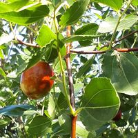 Ismail Özcan's Photo