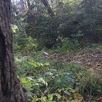 Nina Penkert的照片