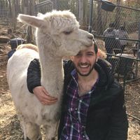 Matthew Ryan's Photo