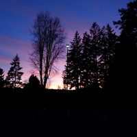 Lorraine Andrew的照片