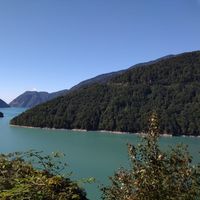 Gogebashvili Irakli's Photo