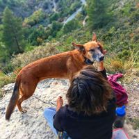 Marie Fortin's Photo