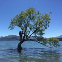 Stephanie Brown的照片