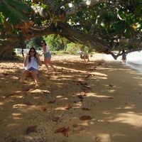 Alex Panagos的照片