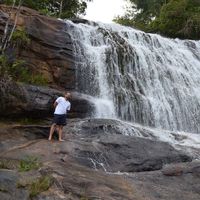 Tulio Ferreira's Photo