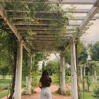 Фотографии пользователя Anali Velasco