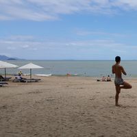 MingWei Yang's Photo