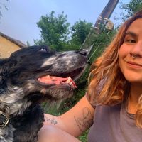 Juliana Mello的照片