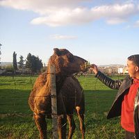 Fotos de oussama Fakri