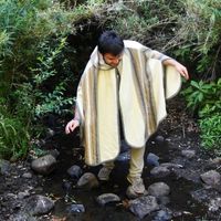 Claudio Torres的照片