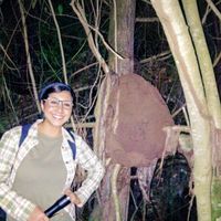 Johana Pérez Cabrera's Photo