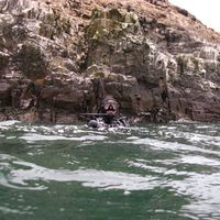 Alex Chávez's Photo