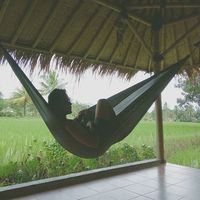 fadel gunardi的照片