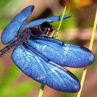 Fotos de Mailiu Díaz Peña