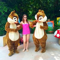 Ana Cláudia Pecorari的照片