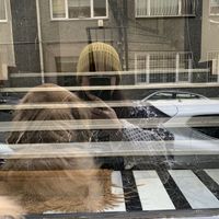 Selin Firat的照片