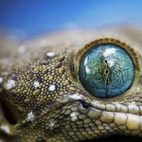 Pawlowski Chloé的照片