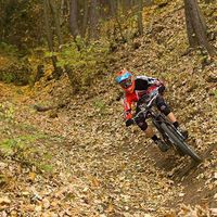 Samuell Jackson's Photo