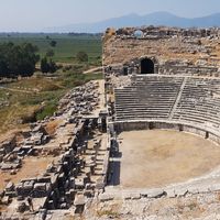 ....... .........的照片