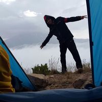 mehdi zamani的照片