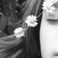 Anja Krivograd的照片