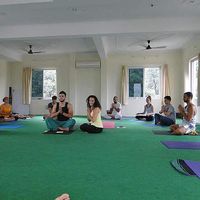 Karina Hendy的照片