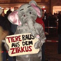 Rosanna Müller的照片