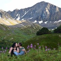 Amanda Hambergh的照片