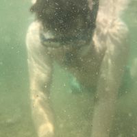 Carlos Flores的照片