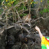 Xenia Ertel的照片